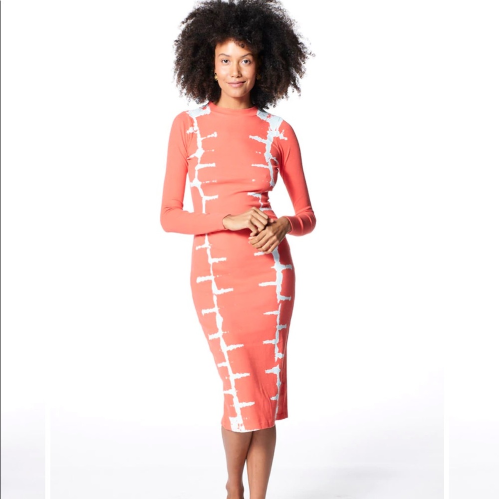 Young Fabulous & Broke Dax Midi dress sz Small